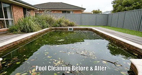 Pool cleaning before after